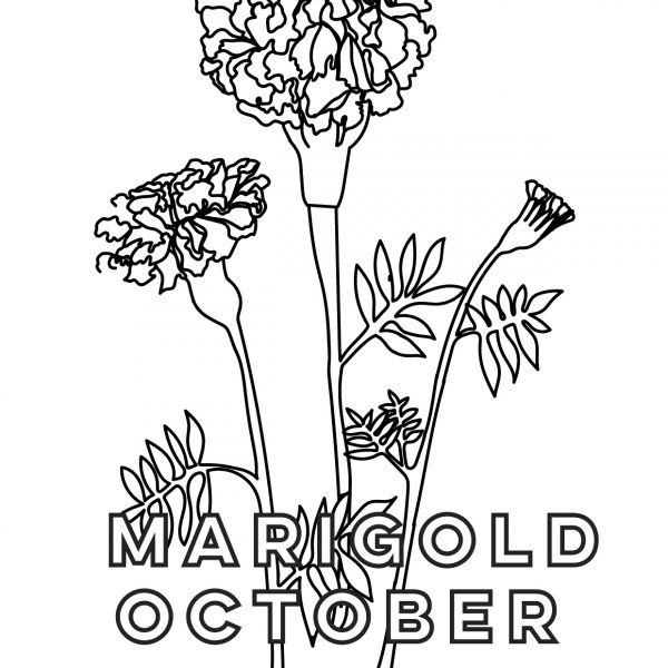 October Birth Flower: Marigold Friday Free Printable
