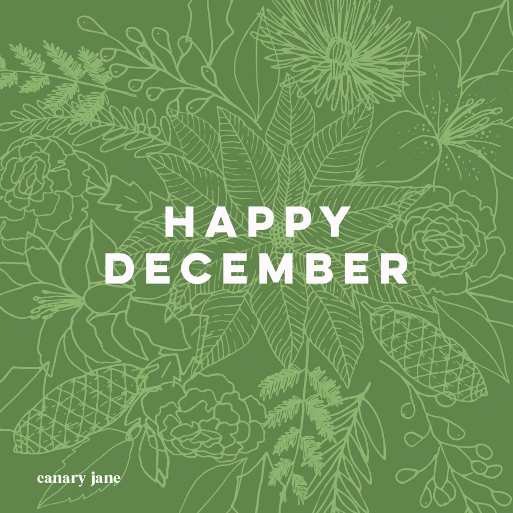 Download the Botanicals of Christmas Advent Coloring Pages and Print for free. You can print these florals of Christmas coloring pages by clicking the link below. You can also read the symbolism behind the flowers I chose to include. These flowers are hand drawn. I hope you enjoy coloring these. 