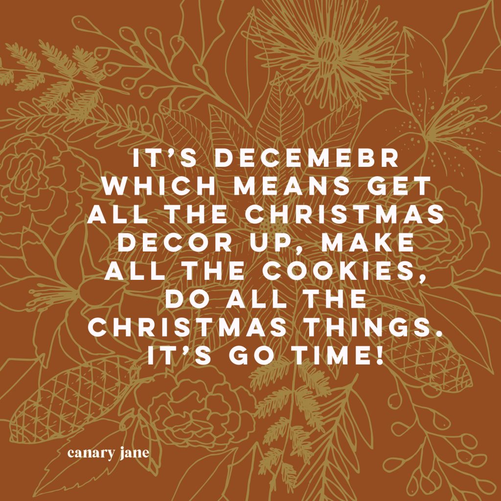 Download the Botanicals of Christmas Advent Coloring Pages and Print for free. You can print these florals of Christmas coloring pages by clicking the link below. You can also read the symbolism behind the flowers I chose to include. These flowers are hand drawn. I hope you enjoy coloring these. 