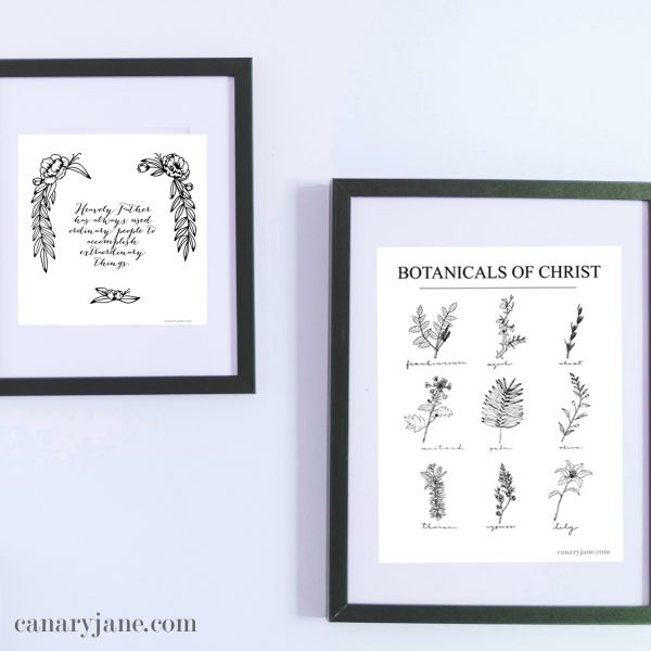 Botanicals of Christ